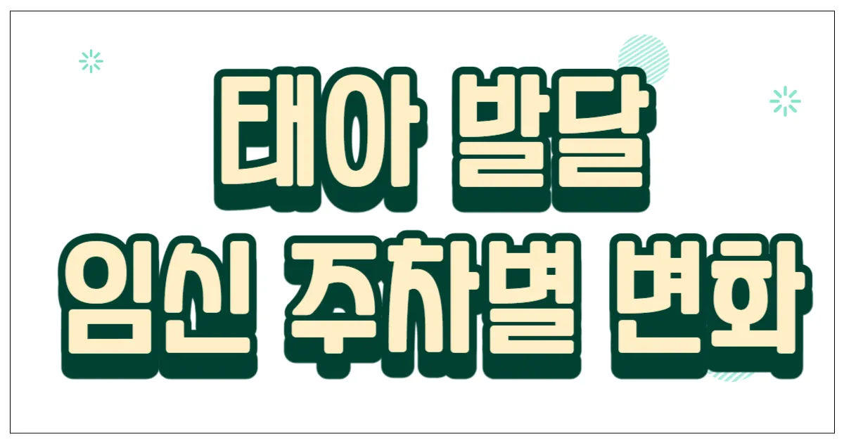 태아 발달 임신 주차별 변화